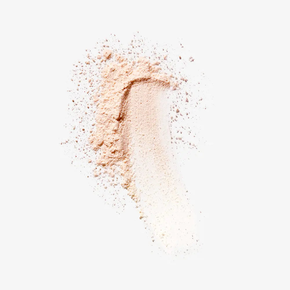 Make-up Pro Loose Powder