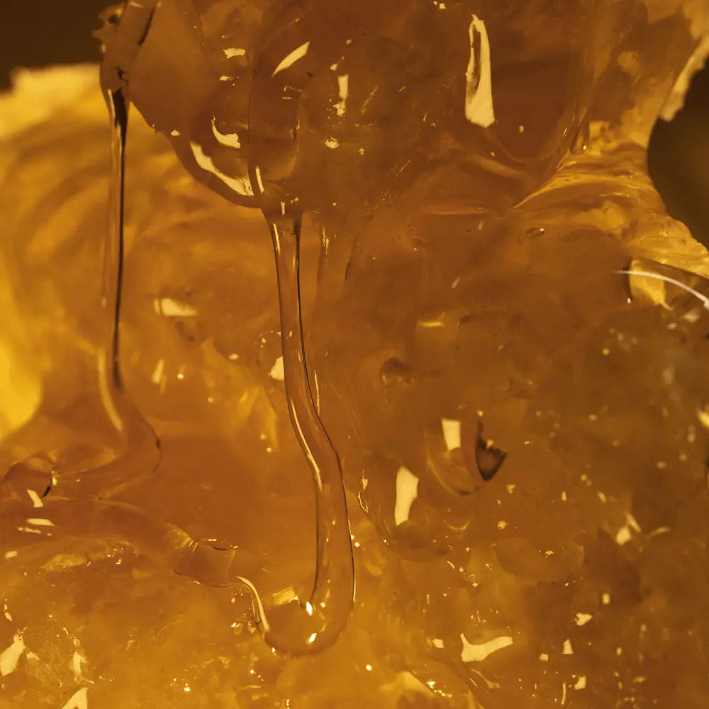 Nourishing Hand & Body Cream